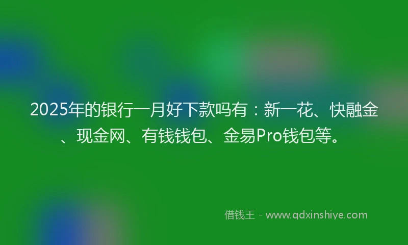 2025年的银行一月好下款吗有：新一花、快融金、现金网、有钱钱包、金易Pro钱包等。