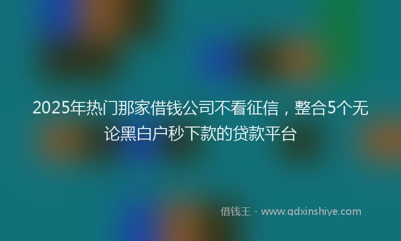 2025年热门那家借钱公司不看征信，整合5个无论黑白户秒下款的贷款平台