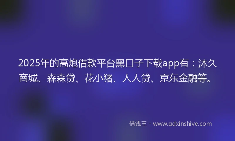 2025年的高炮借款平台黑口子下载app有：沐久商城、森森贷、花小猪、人人贷、京东金融等。