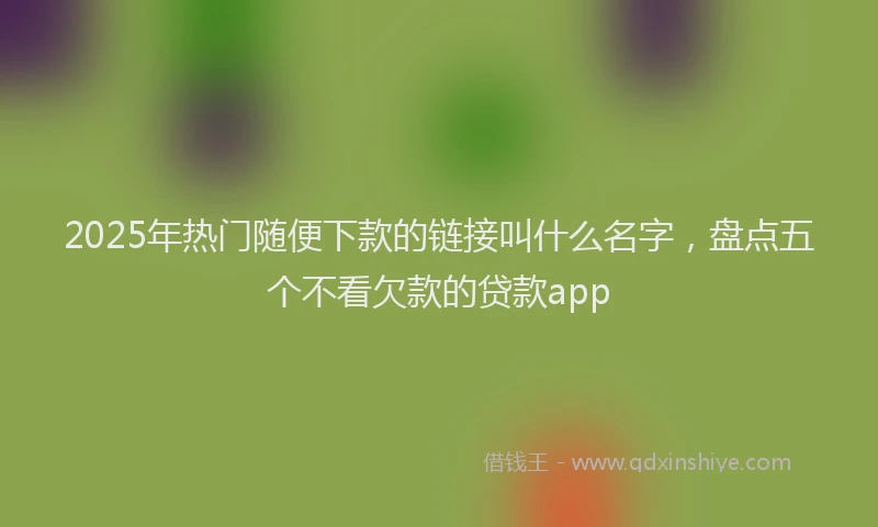 2025年热门随便下款的链接叫什么名字，盘点五个不看欠款的贷款app