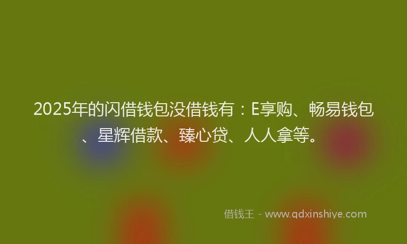 2025年的闪借钱包没借钱有：E享购、畅易钱包、星辉借款、臻心贷、人人拿等。