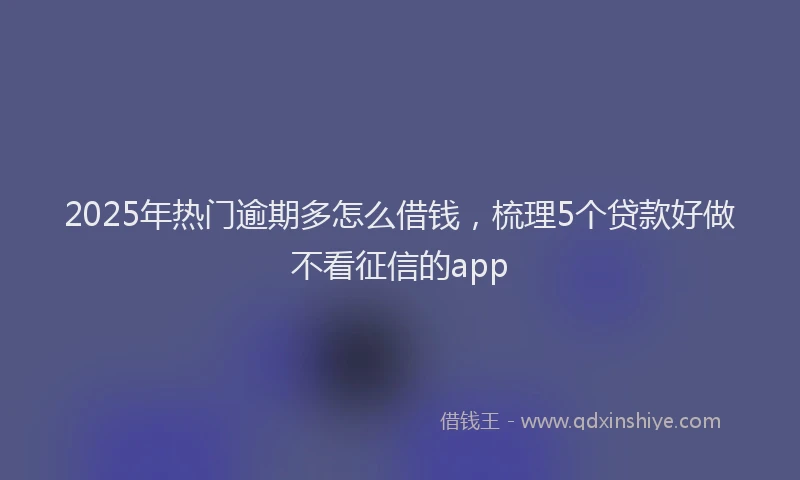 2025年热门逾期多怎么借钱，梳理5个贷款好做不看征信的app