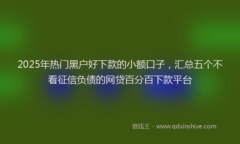 2025年热门黑户好下款的小额口子，汇总五个不看征信负债的网贷百分百下款平台