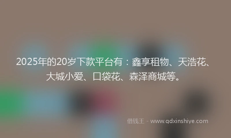2025年的20岁下款平台有：鑫享租物、天浩花、大城小爱、口袋花、森泽商城等。