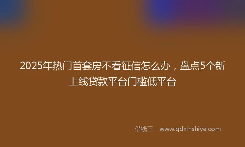 2025年热门首套房不看征信怎么办，盘点5个新上线贷款平台门槛低平台