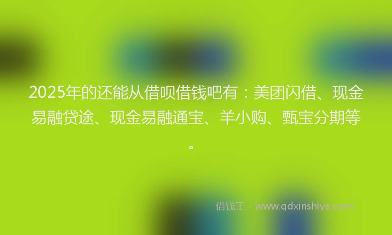 2025年的还能从借呗借钱吧有：美团闪借、现金易融贷途、现金易融通宝、羊小购、甄宝分期等。