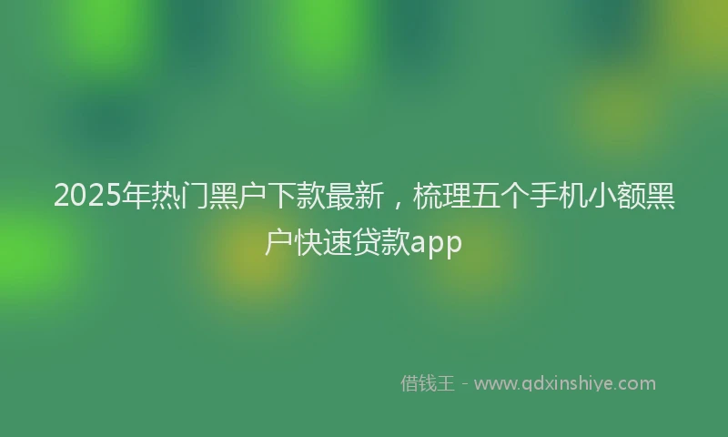 2025年热门黑户下款最新，梳理五个手机小额黑户快速贷款app
