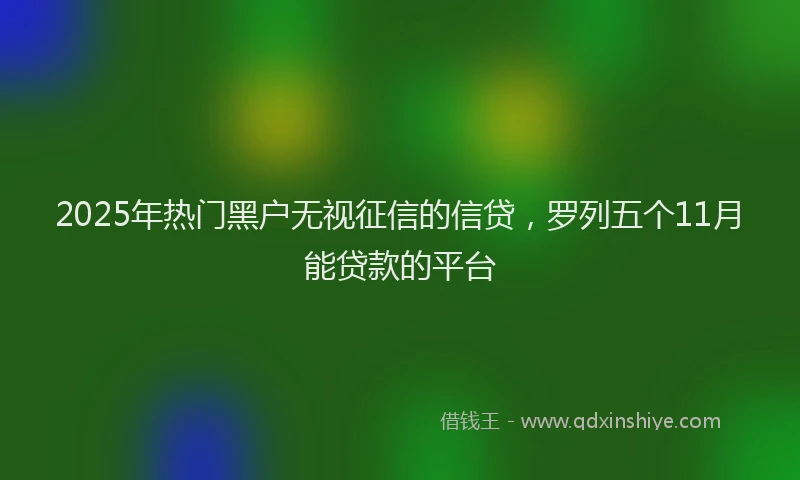 2025年热门黑户无视征信的信贷，罗列五个11月能贷款的平台