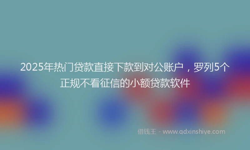 2025年热门贷款直接下款到对公账户，罗列5个正规不看征信的小额贷款软件