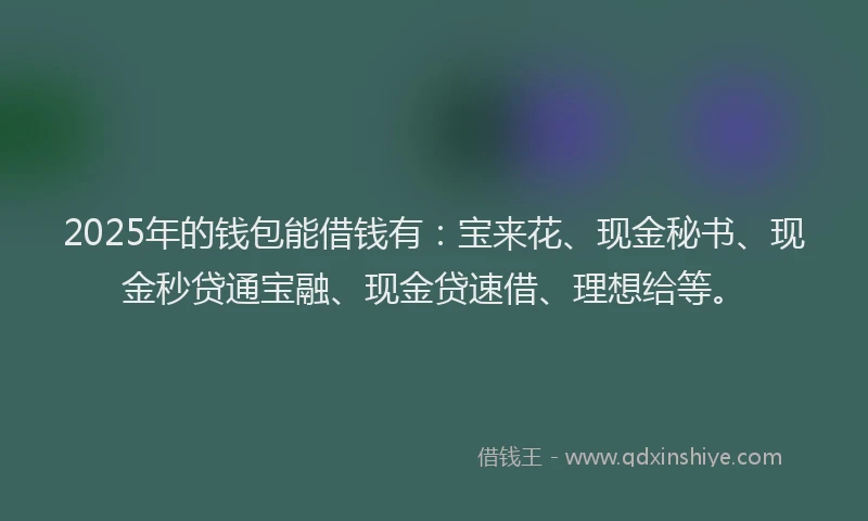 2025年的钱包能借钱有：宝来花、现金秘书、现金秒贷通宝融、现金贷速借、理想给等。