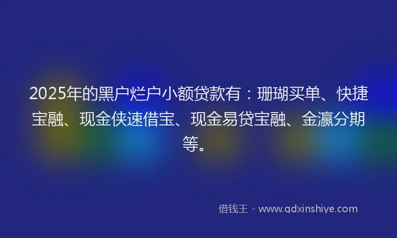 2025年的黑户烂户小额贷款有：珊瑚买单、快捷宝融、现金侠速借宝、现金易贷宝融、金瀛分期等。