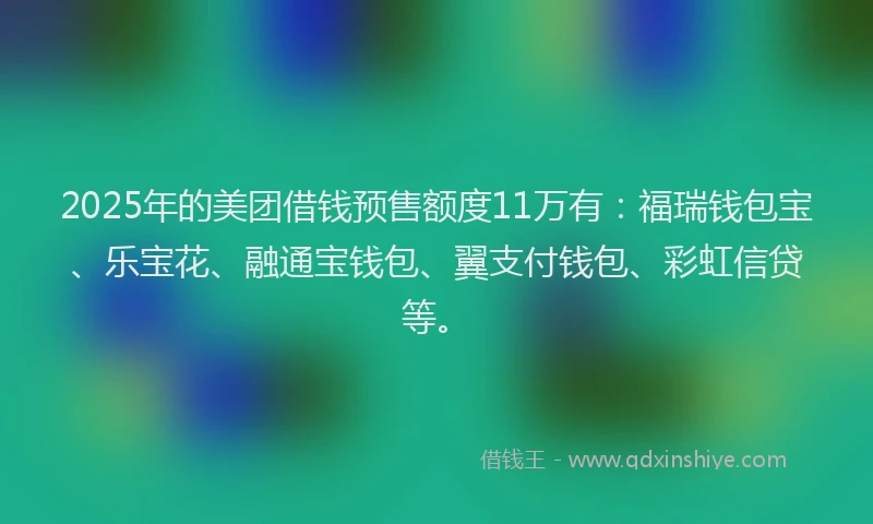 2025年的美团借钱预售额度11万有：福瑞钱包宝、乐宝花、融通宝钱包、翼支付钱包、彩虹信贷等。