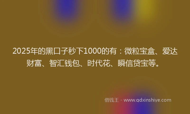2025年的黑口子秒下1000的有：微粒宝盒、爱达财富、智汇钱包、时代花、瞬信贷宝等。