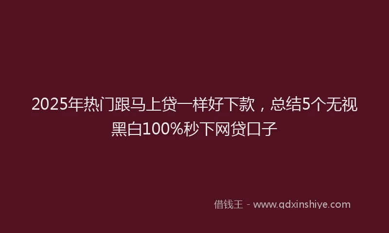 2025年热门跟马上贷一样好下款，总结5个无视黑白100%秒下网贷口子