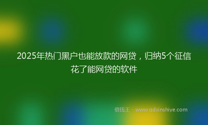 2025年热门黑户也能放款的网贷，归纳5个征信花了能网贷的软件
