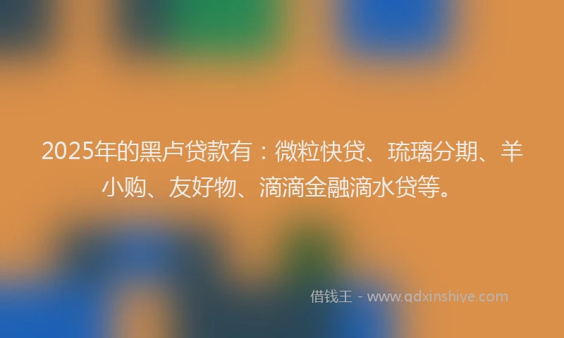 2025年的黑卢贷款有：微粒快贷、琉璃分期、羊小购、友好物、滴滴金融滴水贷等。