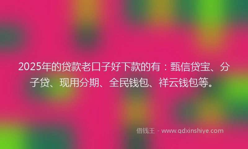 2025年的贷款老口子好下款的有：甄信贷宝、分子贷、现用分期、全民钱包、祥云钱包等。