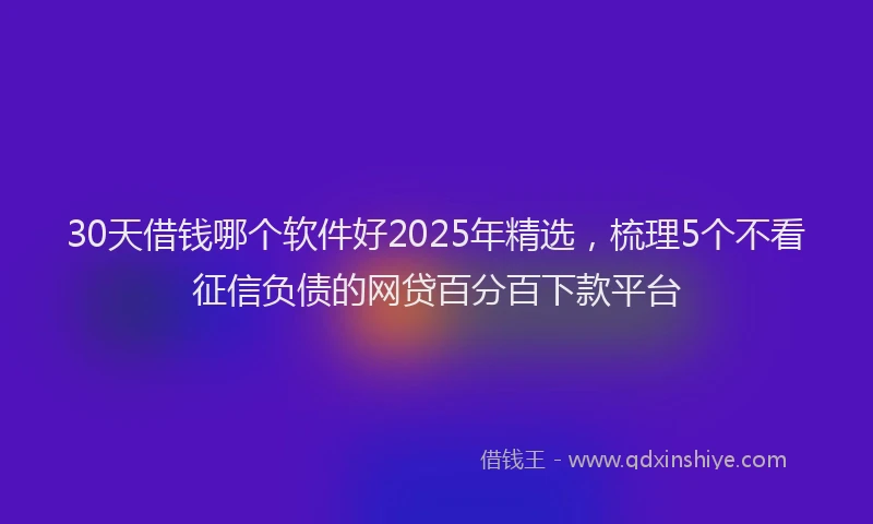 30天借钱哪个软件好2025年精选，梳理5个不看征信负债的网贷百分百下款平台