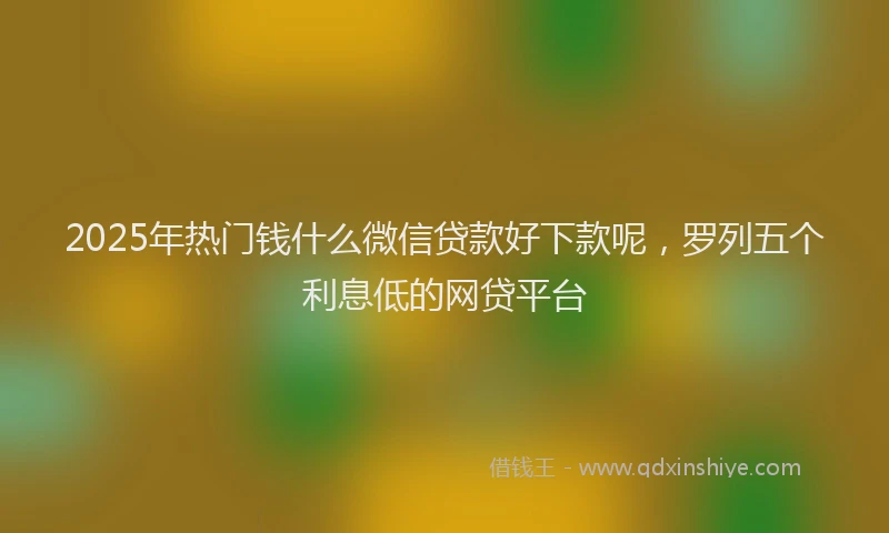 2025年热门钱什么微信贷款好下款呢，罗列五个利息低的网贷平台
