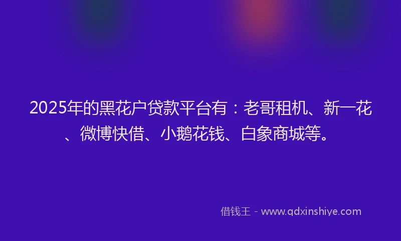 2025年的黑花户贷款平台有：老哥租机、新一花、微博快借、小鹅花钱、白象商城等。