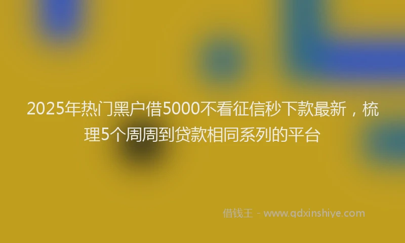 2025年热门黑户借5000不看征信秒下款最新，梳理5个周周到贷款相同系列的平台