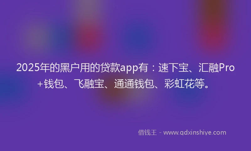 2025年的黑户用的贷款app有：速下宝、汇融Pro+钱包、飞融宝、通通钱包、彩虹花等。