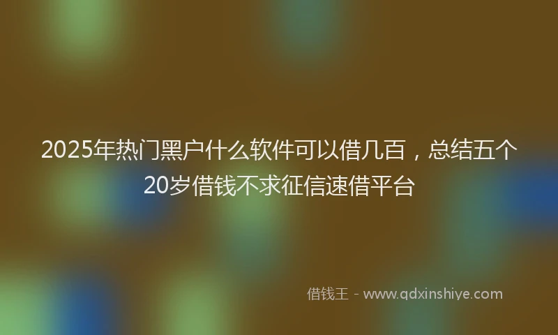 2025年热门黑户什么软件可以借几百，总结五个20岁借钱不求征信速借平台
