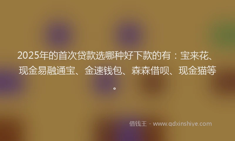 2025年的首次贷款选哪种好下款的有：宝来花、现金易融通宝、金速钱包、森森借呗、现金猫等。