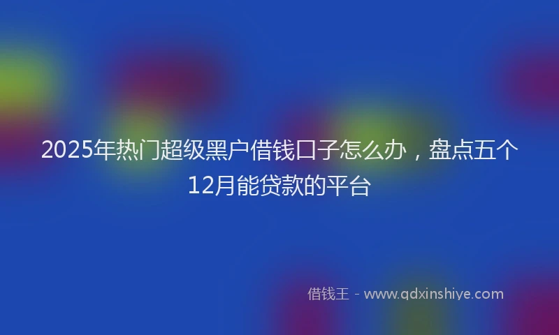 2025年热门超级黑户借钱口子怎么办，盘点五个12月能贷款的平台