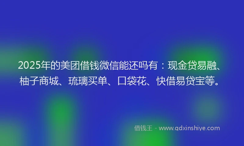 2025年的美团借钱微信能还吗有：现金贷易融、柚子商城、琉璃买单、口袋花、快借易贷宝等。