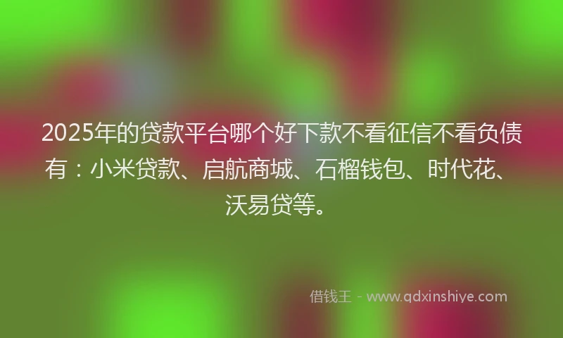 2025年的贷款平台哪个好下款不看征信不看负债有：小米贷款、启航商城、石榴钱包、时代花、沃易贷等。