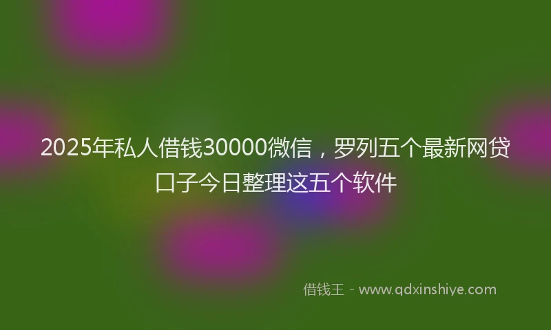 2025年私人借钱30000微信，罗列五个最新网贷口子今日整理这五个软件