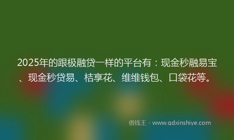 2025年的跟极融贷一样的平台有：现金秒融易宝、现金秒贷易、桔享花、维维钱包、口袋花等。