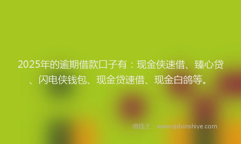 2025年的逾期借款口子有：现金侠速借、臻心贷、闪电侠钱包、现金贷速借、现金白鸽等。