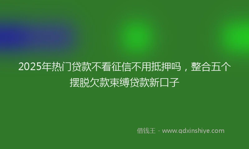 2025年热门贷款不看征信不用抵押吗，整合五个摆脱欠款束缚贷款新口子