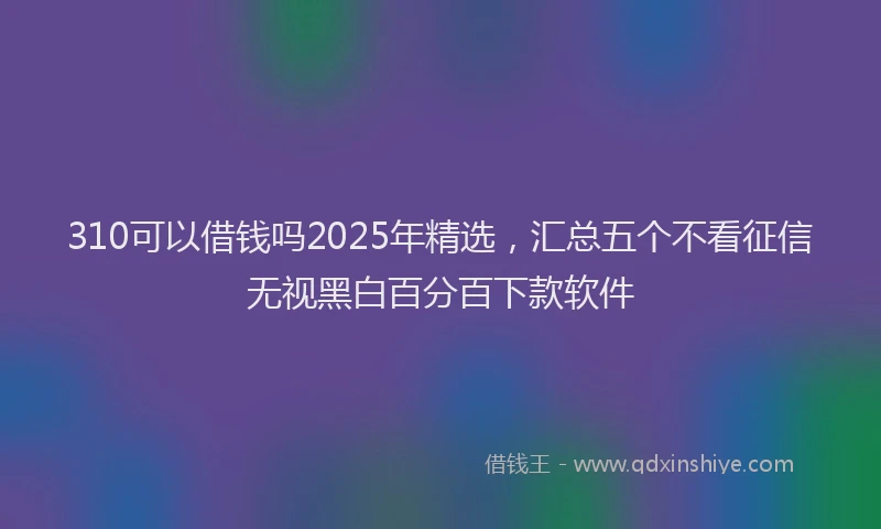 310可以借钱吗2025年精选，汇总五个不看征信无视黑白百分百下款软件