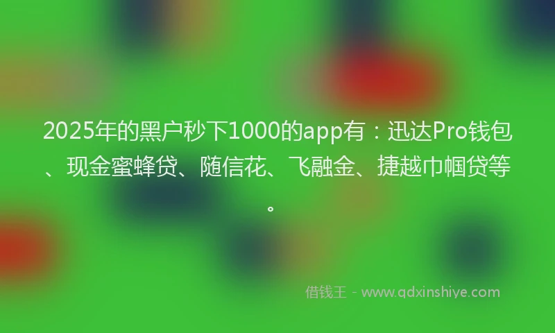 2025年的黑户秒下1000的app有：迅达Pro钱包、现金蜜蜂贷、随信花、飞融金、捷越巾帼贷等。
