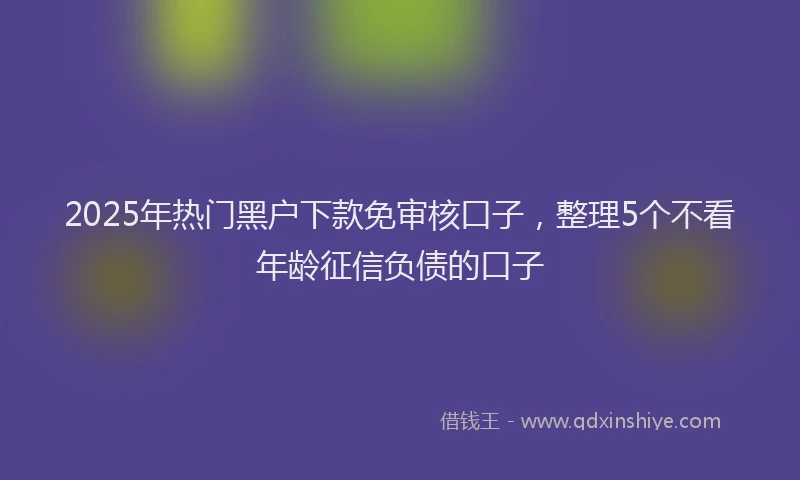 2025年热门黑户下款免审核口子，整理5个不看年龄征信负债的口子