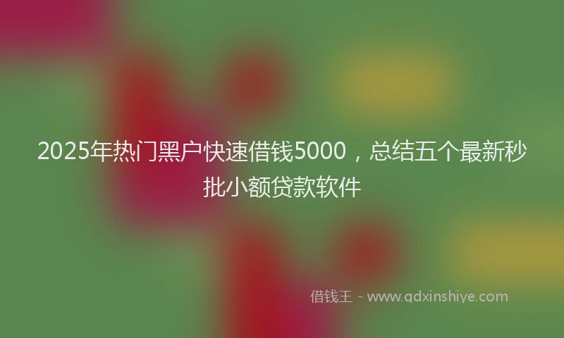 2025年热门黑户快速借钱5000，总结五个最新秒批小额贷款软件