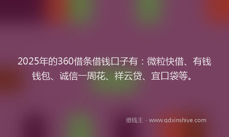 2025年的360借条借钱口子有：微粒快借、有钱钱包、诚信一周花、祥云贷、宜口袋等。