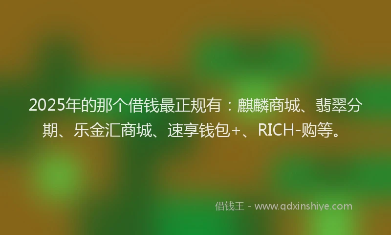 2025年的那个借钱最正规有：麒麟商城、翡翠分期、乐金汇商城、速享钱包+、RICH-购等。