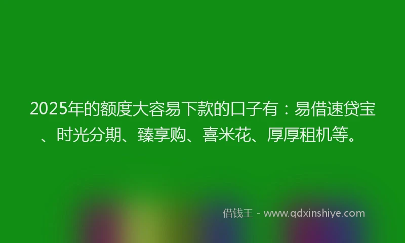 2025年的额度大容易下款的口子有：易借速贷宝、时光分期、臻享购、喜米花、厚厚租机等。