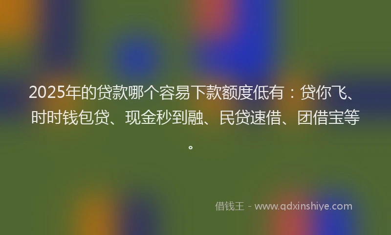 2025年的贷款哪个容易下款额度低有：贷你飞、时时钱包贷、现金秒到融、民贷速借、团借宝等。