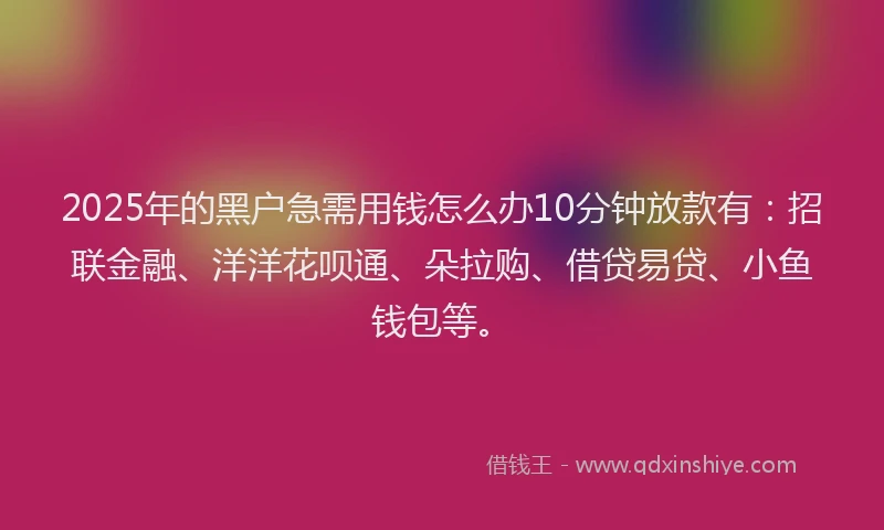 2025年的黑户急需用钱怎么办10分钟放款有：招联金融、洋洋花呗通、朵拉购、借贷易贷、小鱼钱包等。