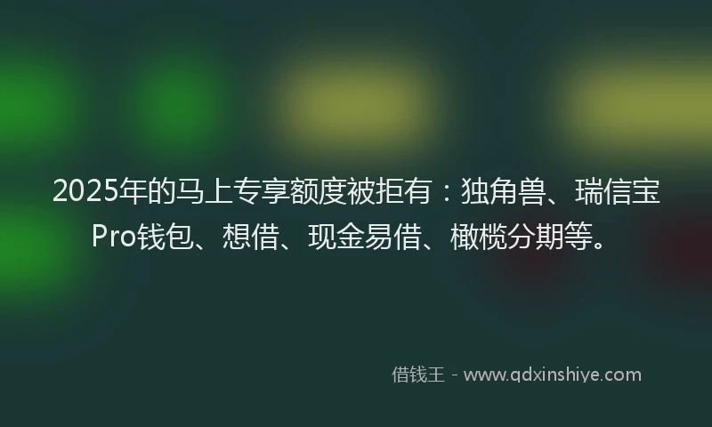 2025年的马上专享额度被拒有：独角兽、瑞信宝Pro钱包、想借、现金易借、橄榄分期等。