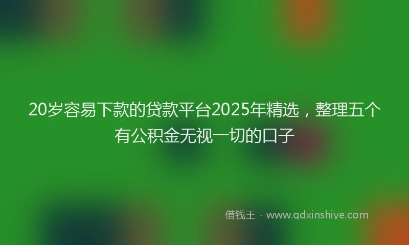 20岁容易下款的贷款平台2025年精选，整理五个有公积金无视一切的口子