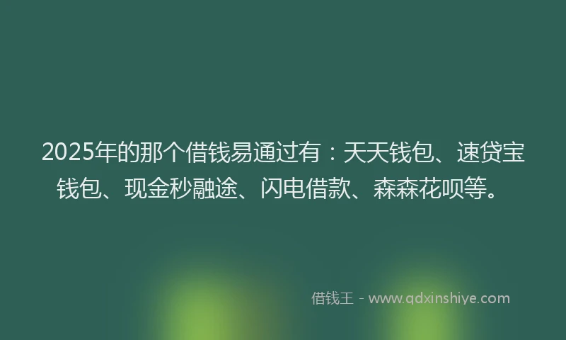 2025年的那个借钱易通过有：天天钱包、速贷宝钱包、现金秒融途、闪电借款、森森花呗等。