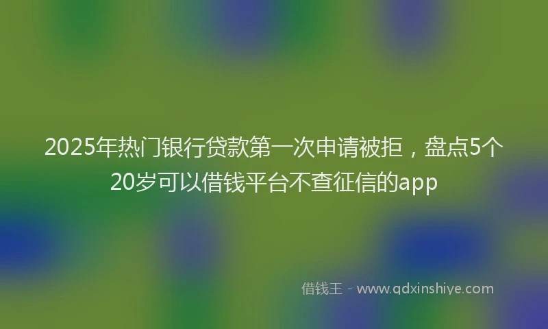 2025年热门银行贷款第一次申请被拒，盘点5个20岁可以借钱平台不查征信的app
