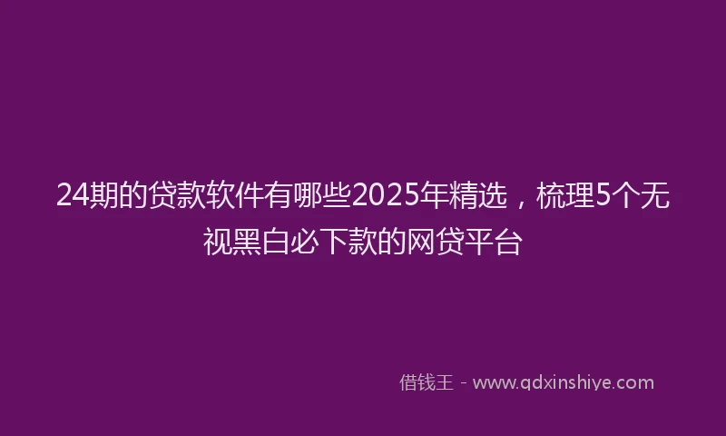 24期的贷款软件有哪些2025年精选，梳理5个无视黑白必下款的网贷平台