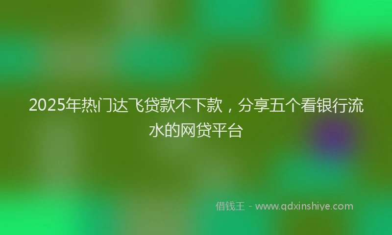 2025年热门达飞贷款不下款，分享五个看银行流水的网贷平台